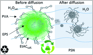 Graphical abstract: Implementation of the emulsification-diffusion method by solvent displacement for polystyrene nanoparticles prepared from recycled material