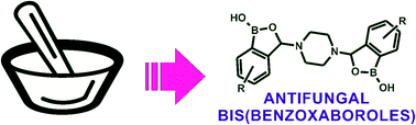 Graphical abstract: Mechanochemical synthesis of antifungal bis(benzoxaboroles)