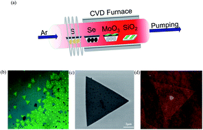 Graphical abstract: Synthesis of 2D MoS2(1−x)Se2x semiconductor alloy by chemical vapor deposition