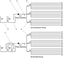 Graphical abstract: Influence of micro/nanobubbles on clogging in drip irrigation systems