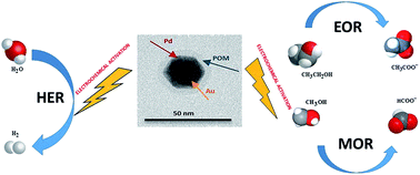 Graphical abstract: In situ electrochemical activation as a generic strategy for promoting the electrocatalytic hydrogen evolution reaction and alcohol electro-oxidation in alkaline medium