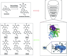 Graphical abstract: In silico approach: biological prediction of nordentatin derivatives as anticancer agent inhibitors in the cAMP pathway