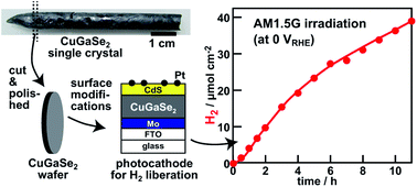 Graphical abstract: Preparation of a CuGaSe2 single crystal and its photocathodic properties