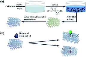 Graphical abstract: Preparation and modification of cellulose sponge and application of oil/water separation