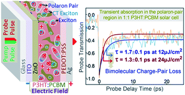 Graphical abstract: Insights into ultrafast charge-pair dynamics in P3HT:PCBM devices under the influence of static electric fields