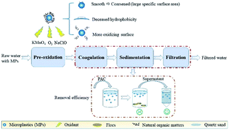 Graphical abstract: Pre-oxidization-induced change of physicochemical characteristics and removal behaviours in conventional drinking water treatment processes for polyethylene microplastics