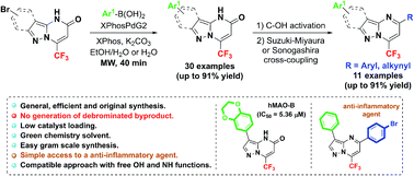Graphical abstract: Efficient microwave-assisted Suzuki–Miyaura cross-coupling reaction of 3-bromo pyrazolo[1,5-a]pyrimidin-5(4H)-one: towards a new access to 3,5-diarylated 7-(trifluoromethyl)pyrazolo[1,5-a]pyrimidine derivatives