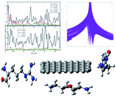Graphical abstract: Interactions, electronic and optical properties of nanographene–peptide complexes: a theoretical study