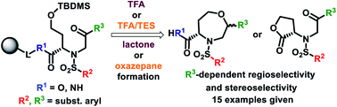 Graphical abstract: Synthesis of chiral 1,4-oxazepane-5-carboxylic acids from polymer-supported homoserine