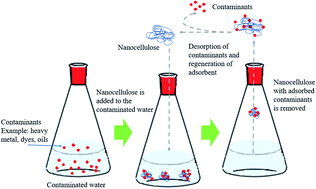Graphical abstract: Nanocellulose: a bioadsorbent for chemical contaminant remediation