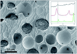 Graphical abstract: About the mechanism of ultrasonically induced protein capsule formation