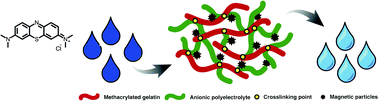 Graphical abstract: Magnetic methacrylated gelatin-g-polyelectrolyte for methylene blue sorption