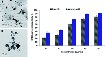 Graphical abstract: Statistical optimization of photo-induced biofabrication of silver nanoparticles using the cell extract of Oscillatoria limnetica: insight on characterization and antioxidant potentiality