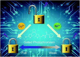 Graphical abstract: A monomolecular platform with varying gated photochromism