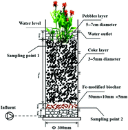 Graphical abstract: Removal of abamectin and conventional pollutants in vertical flow constructed wetlands with Fe-modified biochar