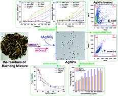 Graphical abstract: A novel green synthesis of silver nanoparticles by the residues of Chinese herbal medicine and their biological activities