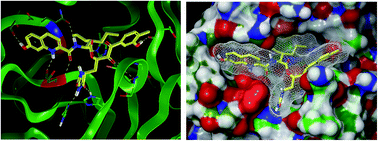 Graphical abstract: Antiviral agents against COVID-19: structure-based design of specific peptidomimetic inhibitors of SARS-CoV-2 main protease