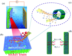 Graphical abstract: Synergistic effect of hierarchical nanopores in Co-doped cobalt oxide 3D flowers for electrochemical energy storage