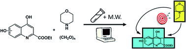 Graphical abstract: Synthetic- and DFT modelling studies on regioselective modified Mannich reactions of hydroxy-KYNA derivatives