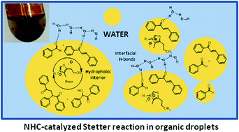 Graphical abstract: Bio-inspired NHC-organocatalyzed Stetter reaction in aqueous conditions