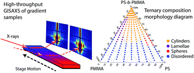 Graphical abstract: High-throughput morphology mapping of self-assembling ternary polymer blends