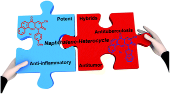 Graphical abstract: Synthesis of novel naphthalene-heterocycle hybrids with potent antitumor, anti-inflammatory and antituberculosis activities