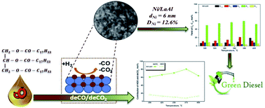 Graphical abstract: Continuous selective deoxygenation of palm oil for renewable diesel production over Ni catalysts supported on Al2O3 and La2O3–Al2O3