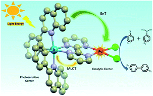 Graphical abstract: Photoaccelerated energy transfer catalysis of the Suzuki–Miyaura coupling through ligand regulation on Ir(iii)–Pd(ii) bimetallic complexes