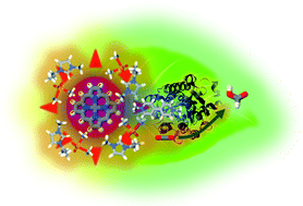 Graphical abstract: Visible-light-driven CO2 reduction to formate with a system of water-soluble zinc porphyrin and formate dehydrogenase in ionic liquid/aqueous media
