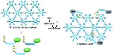 Graphical abstract: Graphdiyne nanosheets as a platform for accurate copper(ii) ion detection via click chemistry and fluorescence resonance energy transfer