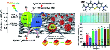Graphical abstract: Microwave-assisted synthesis of an RGO/CdS/TiO2 step-scheme with exposed TiO2 {001} facets and enhanced visible photocatalytic activity