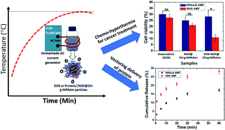 Graphical abstract: Hyperthermia evaluation and drug/protein-controlled release using alternating magnetic field stimuli-responsive Mn–Zn ferrite composite particles