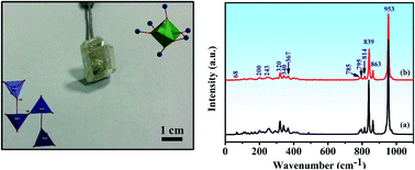 Graphical abstract: Design, growth, and characterization of Y2Mo4O15 crystals for Raman laser applications