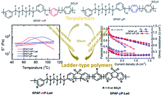 Graphical abstract: Ladder-type sulfonated poly(arylene perfluoroalkylene)s for high performance proton exchange membrane fuel cells