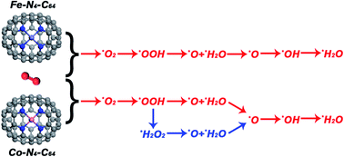 Graphical abstract: Probing the activity of transition metal M and heteroatom N4 co-doped in vacancy fullerene (M–N4–C64, M = Fe, Co, and Ni) towards the oxygen reduction reaction by density functional theory