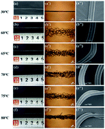 Graphical abstract: Three-dimensional crimped biodegradable poly(lactic acid) fibers prepared via melt spinning and controlled structural reorganization