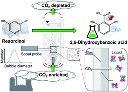 Graphical abstract: Microbubble enhanced mass transfer efficiency of CO2 capture utilizing aqueous triethanolamine for enzymatic resorcinol carboxylation