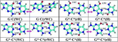 Graphical abstract: Novel mechanisms of the conformational transformations of the biologically important G·C nucleobase pairs in Watson–Crick, Hoogsteen and wobble configurations via the mutual rotations of the bases around the intermolecular H-bonds: a QM/QTAIM study