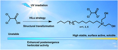 Graphical abstract: Novel ammonium dichloroacetates with enhanced herbicidal activity for weed control