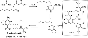 Graphical abstract: Eight-step total synthesis of (+)-crambescin A