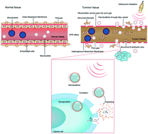 Graphical abstract: Current advances in ultrasound-combined nanobubbles for cancer-targeted therapy: a review of the current status and future perspectives