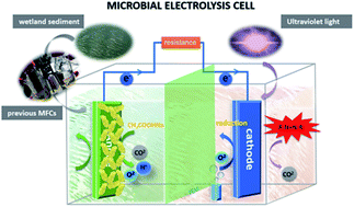 Graphical abstract: Enhanced performance and degradation of wastewater in microbial fuel cells using titanium dioxide nanowire photocathodes