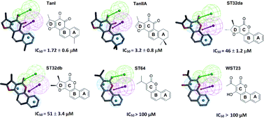 Graphical abstract: Characterizing the structure–activity relationships of natural products, tanshinones, reveals their mode of action in inhibiting spleen tyrosine kinase