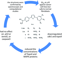 Graphical abstract: Synthesis of new thienylpicolinamidine derivatives and possible mechanisms of antiproliferative activity