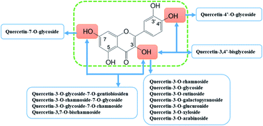 Graphical abstract: Anti-rheumatic effect of quercetin and recent developments in nano formulation