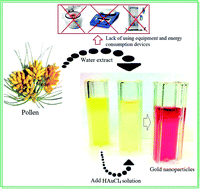 Graphical abstract: Simplification of gold nanoparticle synthesis with low cytotoxicity using a greener approach: opening up new possibilities