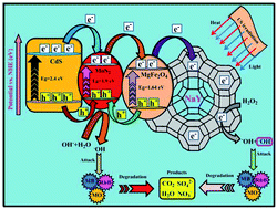 Graphical abstract: Construction of magnetic MgFe2O4/CdS/MoS2 ternary nanocomposite supported on NaY zeolite and highly efficient sonocatalytic degradation of organic pollutants