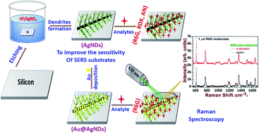 Graphical abstract: Robust and cost-effective silver dendritic nanostructures for SERS-based trace detection of RDX and ammonium nitrate