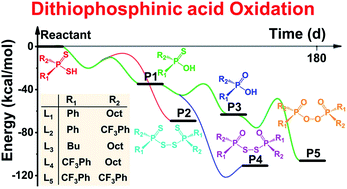 Graphical abstract: From “S” to “O”: experimental and theoretical insights into the atmospheric degradation mechanism of dithiophosphinic acids