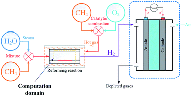Graphical abstract: Numerical study on the effect of discrete catalytic layer arrangement on methane steam reforming performance